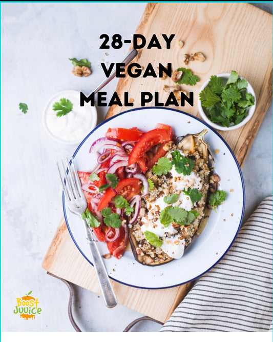 Vegan Meal Plan